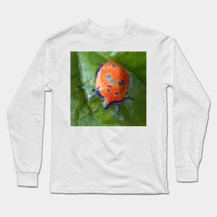 Hibiscus Harlequin Beetle Long Sleeve T-Shirt